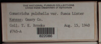 Image Associated With the Occurence
